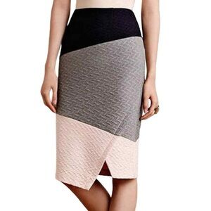 HD in Paris Black, Gray, and Pink Pencil Skirt